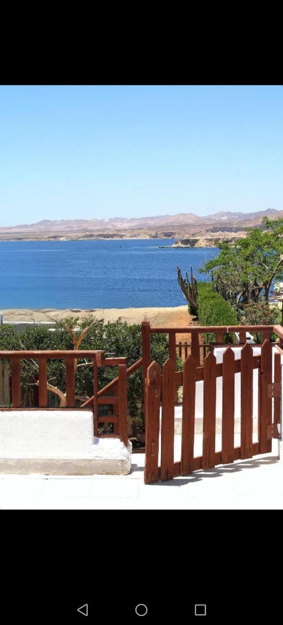 Abouseif Guest House Sharm el-Sheikh Room photo